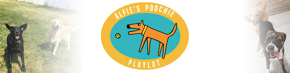 Alfie's Poochie Playlot in Mokena, IL banner