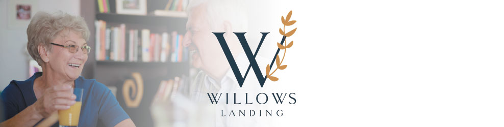 Willows Landing in Monticello, MN banner