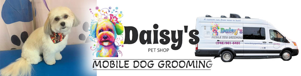 Daisy's Pet Shop banner