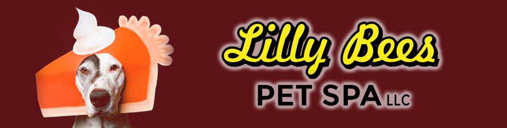 Lilly bees pet sales spa