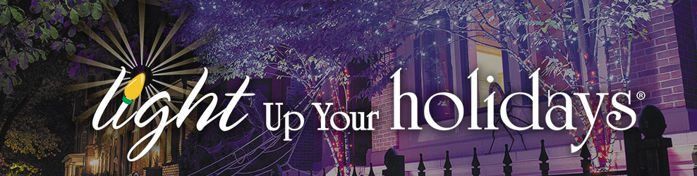 Light Up Your Holidays in Chicago, IL banner