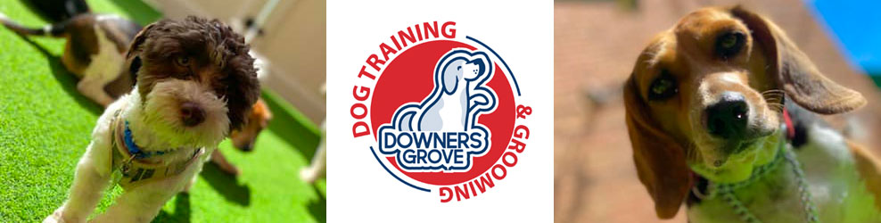 Downers Grove Dog Training & Grooming in Downers Grove, IL banner