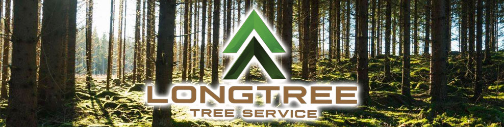 Longtree Tree Service in Berkley, MI banner