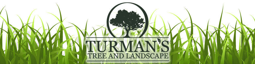 Turman's Tree & Landscape in Lake Orion, MI banner