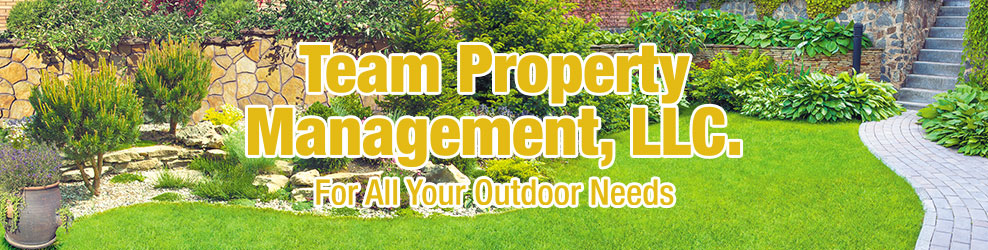 Team Property Management in Detroit, MI banner