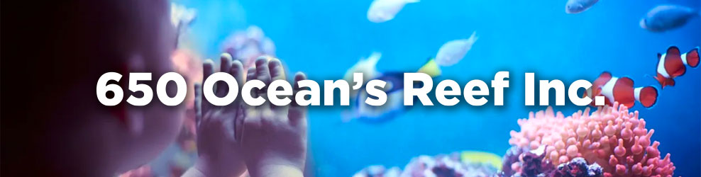 650 Ocean’s Reef Inc. in Palatine, IL banner