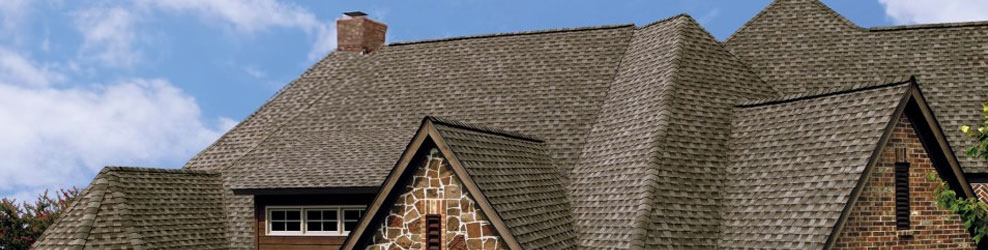 W. Brothers Roofing in Palatine, IL banner