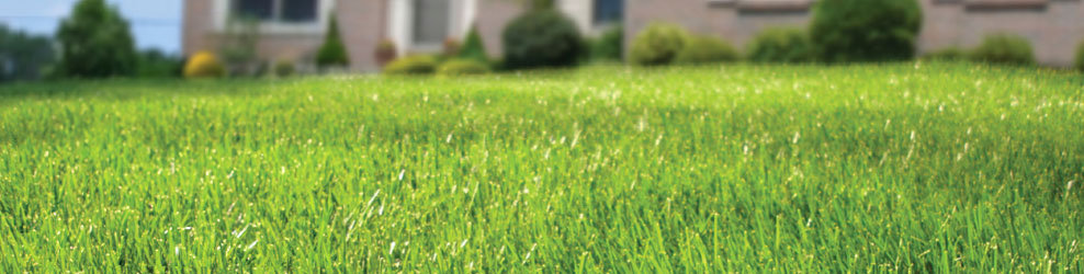 Greener Lawns in McHenry, IL banner