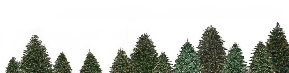 Treetime Christmas Creations in Lake Barrington, IL banner